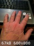 hand1c.jpg - 67kB