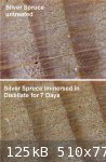 Macro Silver Spruce Immersion Test (510 x 778).jpg - 125kB