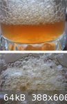 Distillate Foam Immersion Test (388 x 600).jpg - 64kB