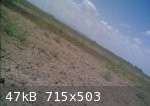 LosMochis1.jpg - 47kB