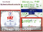 SazStrings020D.jpg - 129kB