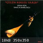 Gulun Kokusu Vardi Image.jpg - 18kB