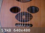 1110Pickguard-L.jpg - 53kB