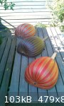 IMAG0079-1.jpg - 103kB
