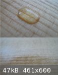 Water on Burnished Wood (461 x 600).jpg - 47kB
