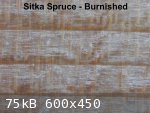sitka spruce burnished (600 x 450).jpg - 75kB