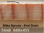 spruce end grain burnished (600 x 455).jpg - 56kB