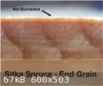 spruce end grain not burnished (600 x 503).jpg - 67kB
