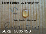 Raw Egg White Water 30 minutes (600 x 450).jpg - 66kB