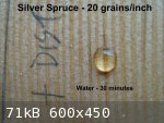 Silver Spruce Distillate Water 30 minutes (600 x 450).jpg - 71kB