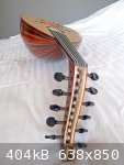 cocobolo 1.jpg - 404kB