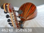 cocobolo 2.jpg - 462kB