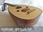 cocobolo 3.jpg - 600kB