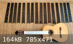 SwitchableFretboardGuitar1.jpg - 164kB