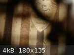 533429_10150921818138841_660413840_9769458_490617702_a.jpg - 4kB