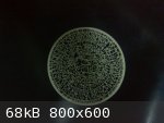 &#1602;&#1605;&#1585;&#1577;.jpg - 68kB