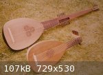 Fibreglass Archlute (729 x 530).jpg - 107kB