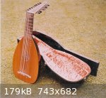 Fibreglass Lute and Case (743 x 682).jpg - 179kB