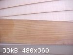 maple yew (480 x 360).jpg - 33kB