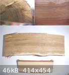 Grape Vine comp (552 x 605) (414 x 454).jpg - 46kB