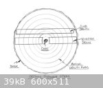 Stem Section (600 x 511).jpg - 39kB