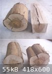 Vine sample 2 comp. (545 x 783) (418 x 600).jpg - 55kB