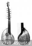 Arch Cittern reduced.jpg - 77kB