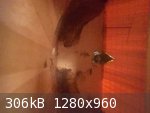 IMG_3247 (1).JPG - 306kB