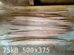 IMG_20170824_145633_HDR.jpg - 75kB
