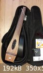 oud-electric-reduced.jpg - 192kB