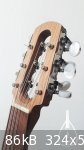 small cumbus sbd head side.jpg - 86kB