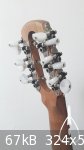 small cumbus sbd head back.jpg - 67kB