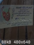 IMG_3839 2.jpg - 88kB
