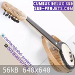 cumbus delux sbd oud arabic acoustic luthiery france - insta.jpg - 56kB