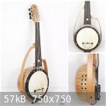 cumbus delux sbd oud arabic acoustic luthiery france - face profil back.jpg - 57kB