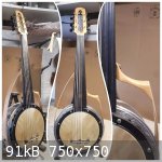 cumbus steel sbd oud arabic acoustic luthiery france - face profil back.jpg - 91kB