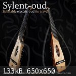 Electric oud music silent hollow arabic najarian hetham deeb rajeb rajab iengam .jpg - 133kB