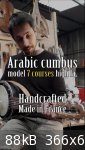 Arabic cumbus sbd oud france luthier.jpg - 88kB