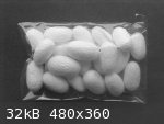 Bombyx mori Cocoons (480 x 360).jpg - 32kB