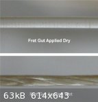 Fret Gut Wet Dry comp (614 x 643).jpg - 63kB