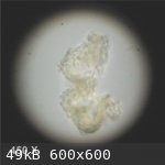 Residue Particle 450X (600 x 600).jpg - 49kB