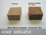 Silver Spruce Immersion in Distillate (600 x 450).jpg - 43kB