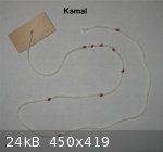 Kamal (600 x 559) (450 x 419).jpg - 24kB