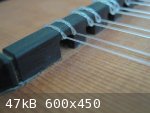 5c Guitar 4 (600 x 450).jpg - 47kB