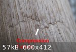 Compression Failure (600 x 412).jpg - 57kB