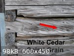 Cedar Spiral 2 (600 x 450).jpg - 98kB